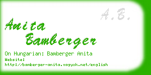 anita bamberger business card